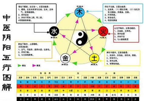 金為何生水|浅谈五行中的金生水、为什么金生水